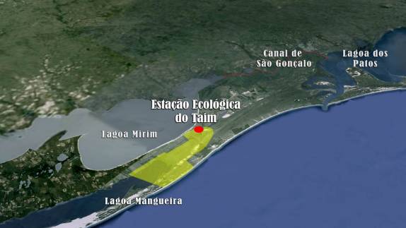 Localização da Estação Ecológica do Taim, entre a Lagoa Mirim e o Oceano Atlântico, ao longo da Praia do Cassino, no sul do Rio Grande do Sul